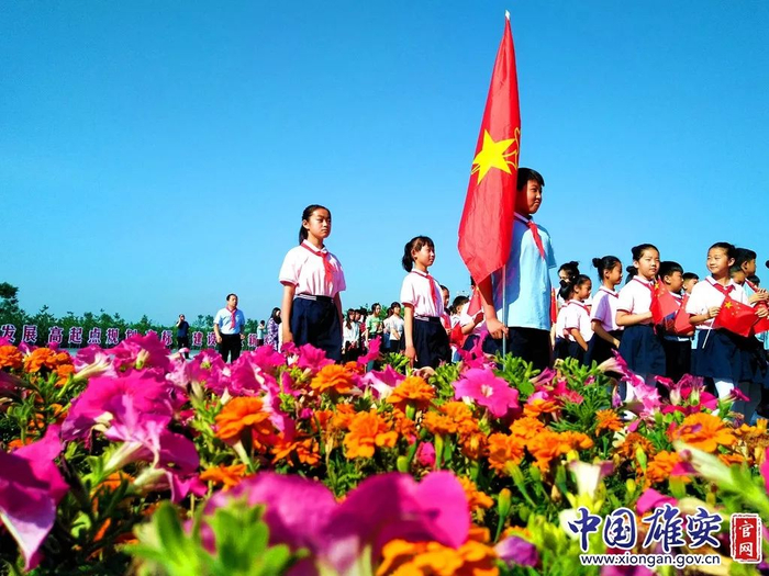  中关村第三小学雄安校区一年级新生入队仪式现场。中国雄安官网记者石萍婷 摄