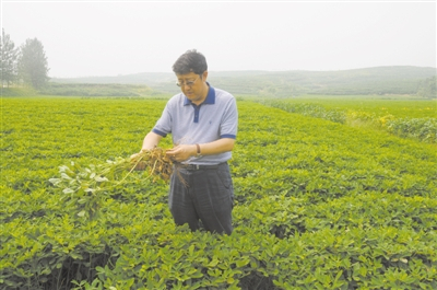  图为万书波在莒南新技术示范基地 受访者供图 