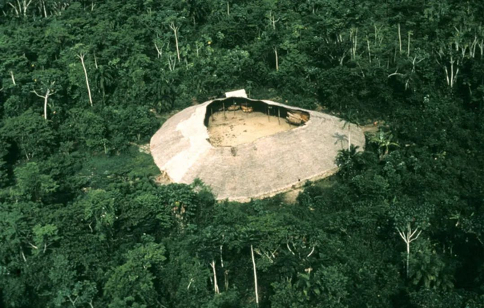 图片来源：推特