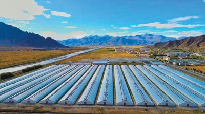 年楚河畔的现代化蔬菜大棚。人民视觉