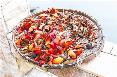 民间把木棉花晒干入药，可以解毒清热，驱寒去湿