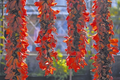 串起来晾干木棉花