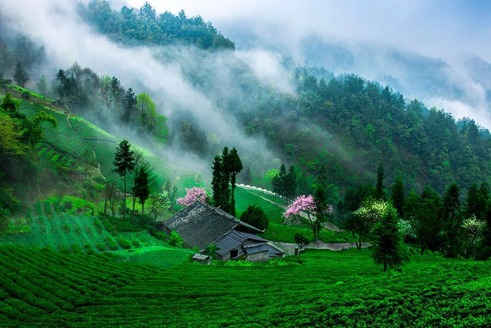 ▲戽口村美景（文林摄）