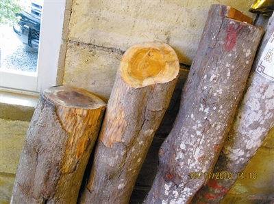 成龄檀香木