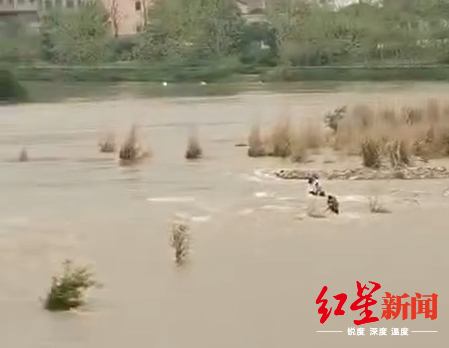 在沙洲游玩的市民被困。现场视频截图