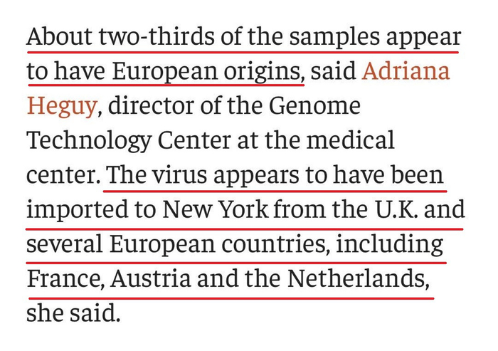 △相关报道截图（病毒似乎是从英国、法国、奥地利和荷兰等几个欧洲国家输入到纽约的）