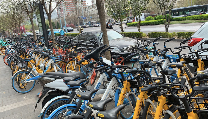（北京街头的共享单车 &nbsp;郑婷婷摄影）