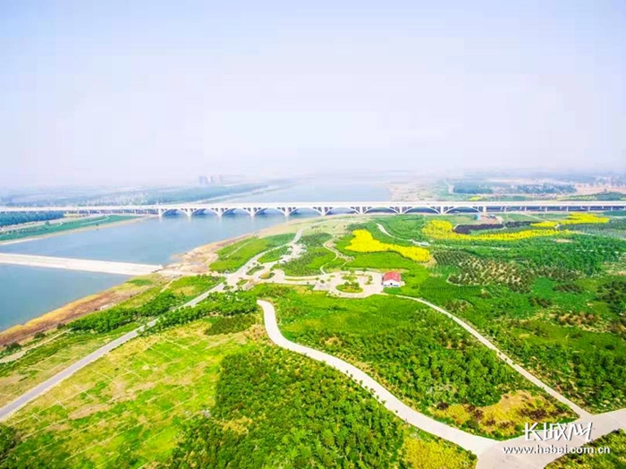 滹沱河生态走廊。资料图