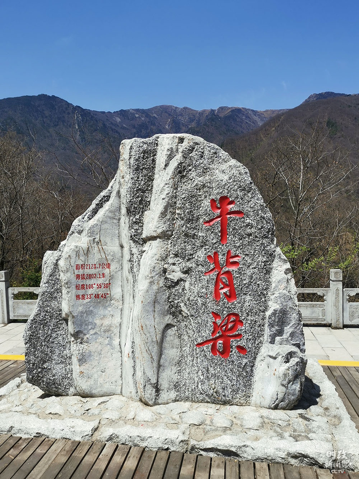 　　△保护区主峰牛背梁位于柞水县营盘镇境内，是秦岭东段最高峰，海拔2802米。（总台央视记者王晓东拍摄）