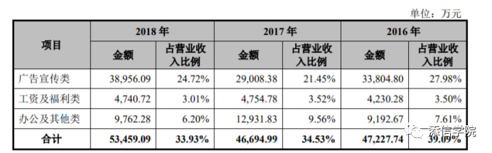 丸美股份招股说明书