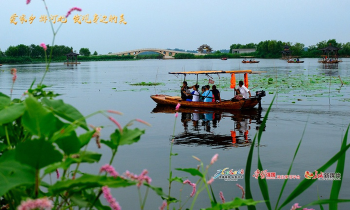 《画里行舟》拍摄于雄安新区白洋淀。厉文中 摄