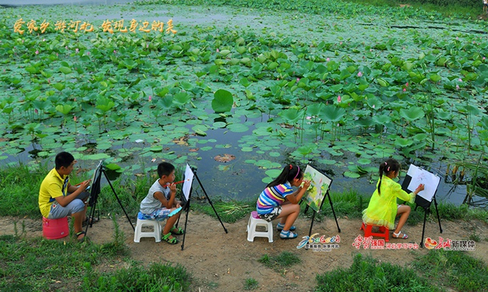 《荷塘希望》拍摄于雄安新区白洋淀。杨红 摄