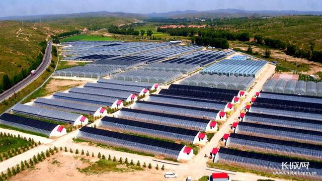 尚义县草莓种苗繁育基地。本网资料图。　　　　　　