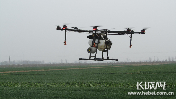 河北金桥农资有限公司向客户免费提供无人机喷洒服务。  郭庆敏 摄