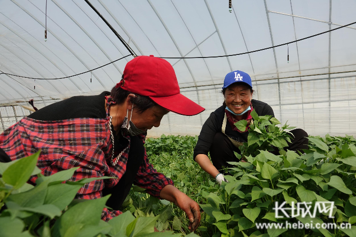 魏县坚持四方联动，让防贫对象第一时间获得救助补偿。