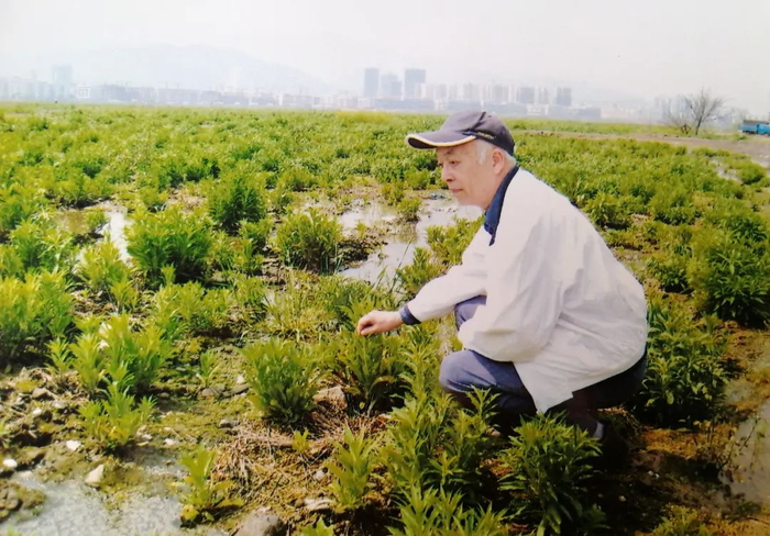  1986年初，汪诚信在湖北疫区检查鼠情。图/受访者提供