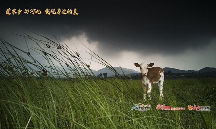 《梦幻横山湖》。刘尊拴 摄