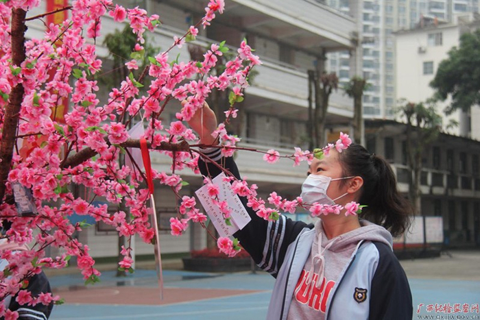 市天桃实验学校东葛校区学生在天桃幸运树前系上美好心愿卡 （摄影  陈元）