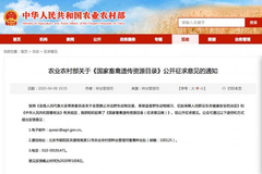 吃狗肉将成为历史？农业农村部：狗已特化为伴侣动物