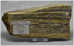 Acasta（阿卡斯塔）片麻岩