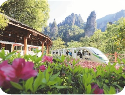 游客乘观光电车在张家界十里画廊游览。吴勇兵摄（人民视觉）