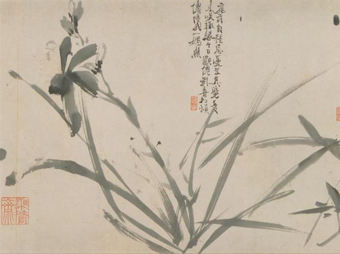 　　《花卉图卷》徐渭（明）