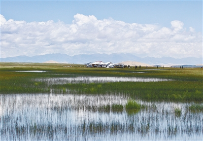 湿地深处  海北州林草局供图