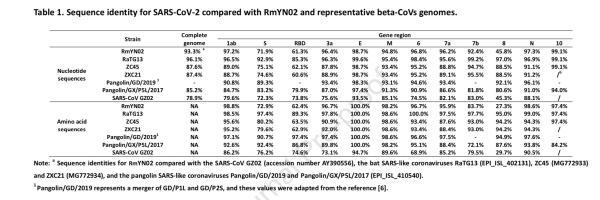 SARS-CoV-2和几种代表性蝙蝠来源冠状病毒序列比较。
