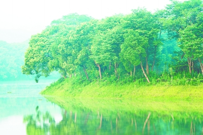 生态河岸修复