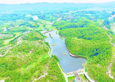 航拍汀江湿地国家公园