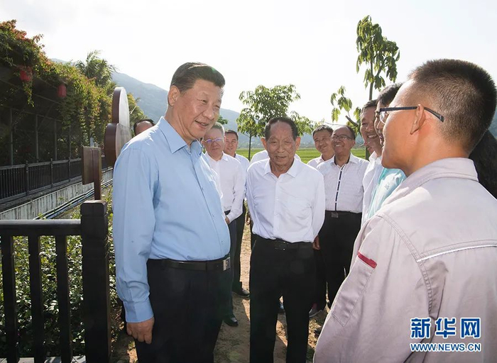 　　2018年4月11日至13日，中共中央总书记、国家主席、中央军委主席习近平在海南考察。这是4月12日下午，习近平在国家南繁科研育种基地同袁隆平院士等农业科技人员亲切交谈，了解水稻育制种产业发展和推广情况。新华社记者 李学仁 摄