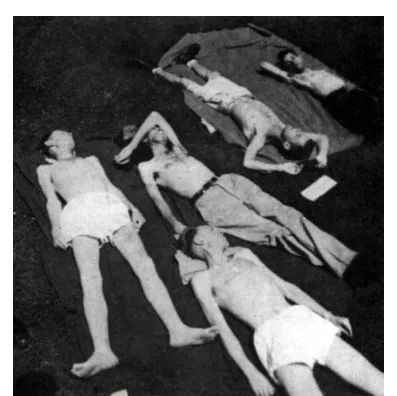 实验参与者在晒太阳图片来源：Mad Science Museum