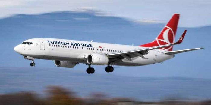 土耳其飞马航空图片