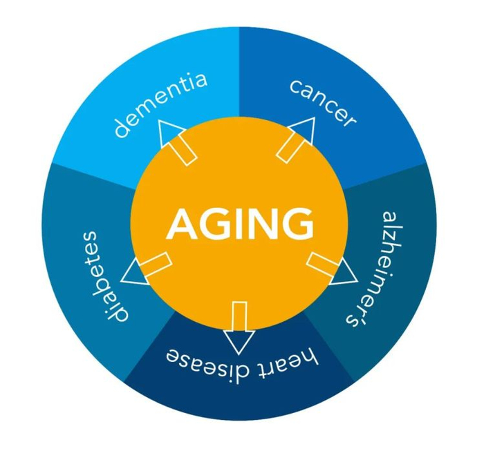 与年龄有关的疾病