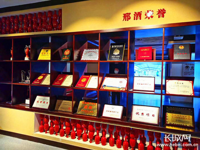 所获荣誉证书、奖杯、奖状摆满墙。郝艳红 摄