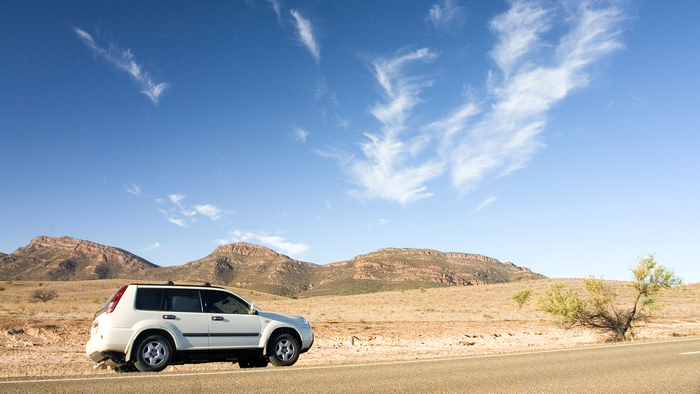日本民众倾向于自驾游（Skygate网站）