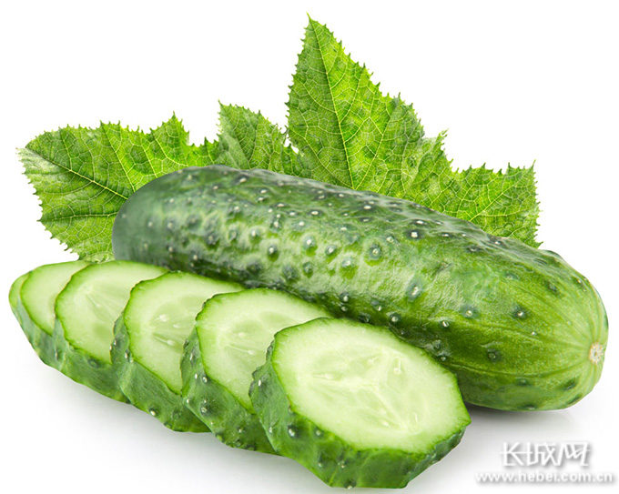 鲜嫩黄瓜。徐清铭 供图