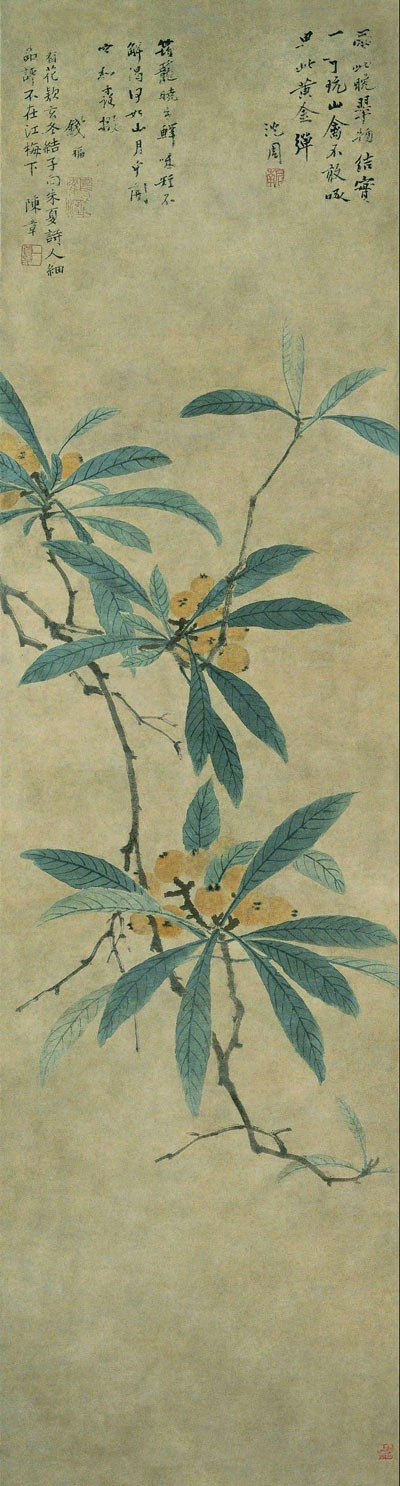 《枇杷图轴》 沈周（明）