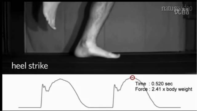 图：脚跟落地受力分析
