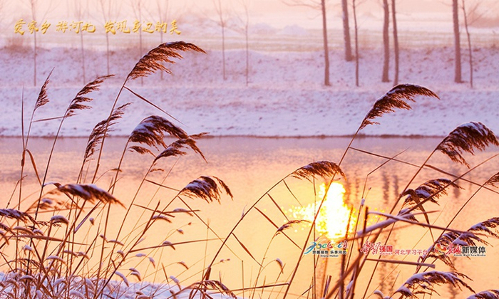 沧州运河畔。唐垠 摄