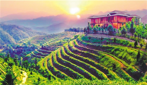 图为安溪县华祥苑茶庄园。 （安溪县委宣传部供图）