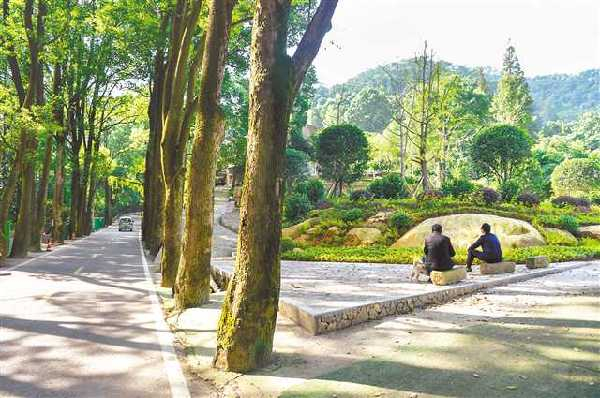 拆违治理后的缙云山葵莲养心谷入口  记者 万难摄