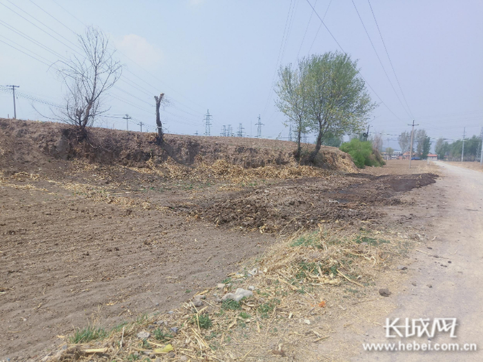承德市平泉市小寺沟镇佟杖子村养殖污染。网友供图