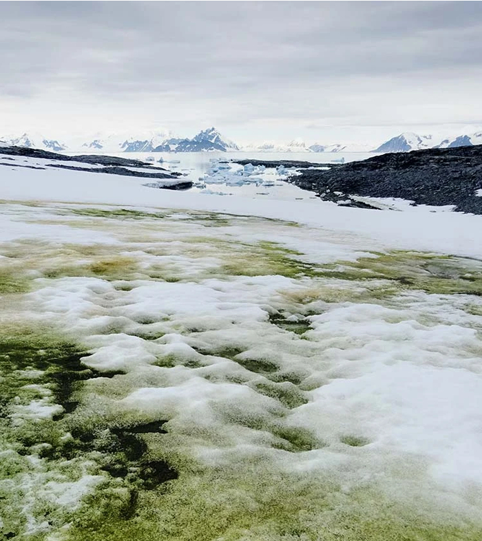 图片来源：研究论文 