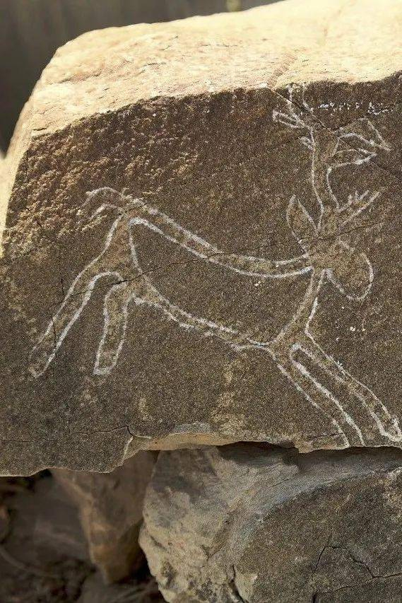 西北奇景“贺兰山岩画”。图/视觉中国