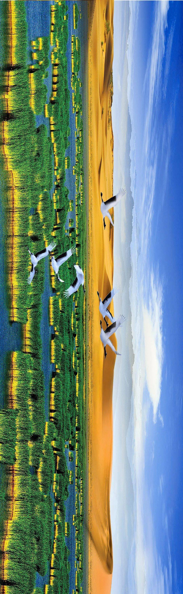 沙湖，沙、水、苇、鸟、山五大景源的有机结合 　　图/宁夏回族自治区人民政府官网