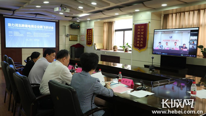 研讨会通过视频连线的方式举办。河北省贸促会 供图