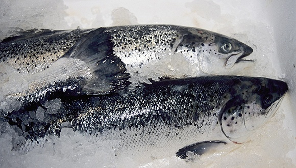 图片来源：视觉中国