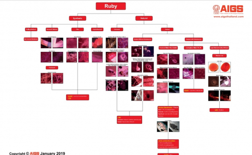 AIGS红宝石检测流程图