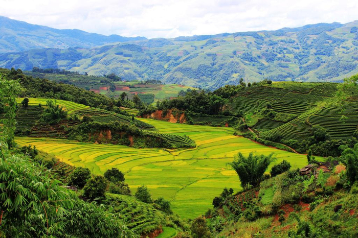 图片来自澜沧县人民政府网站